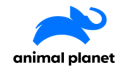Animal Planet 